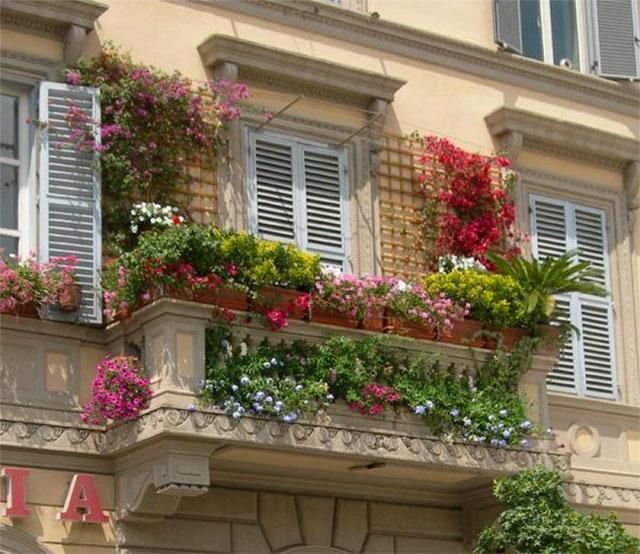 Balcones con flores. Envio de flores y plantas. 